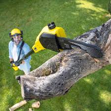 Trusted Lakesite, TN Tree Removal and Landscaping Services Experts